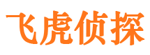 雁江私家侦探